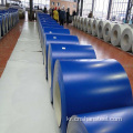 DX51D PRE COATEDGAL VANIZED Steel Coil- 금속